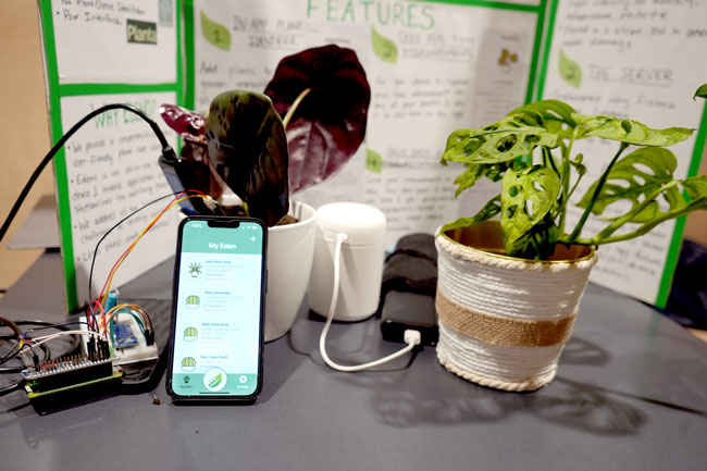 Two plants on table, wired sensors in soil, with smartphone propped on pot displaying app